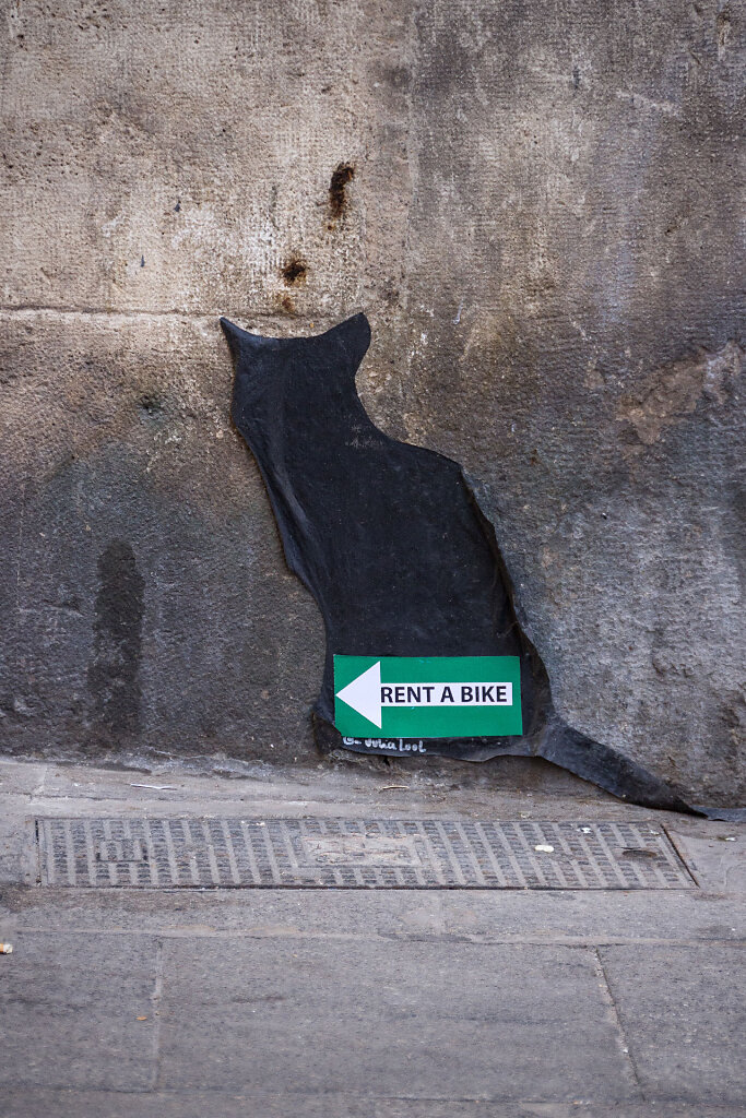 VLC-1447.jpg