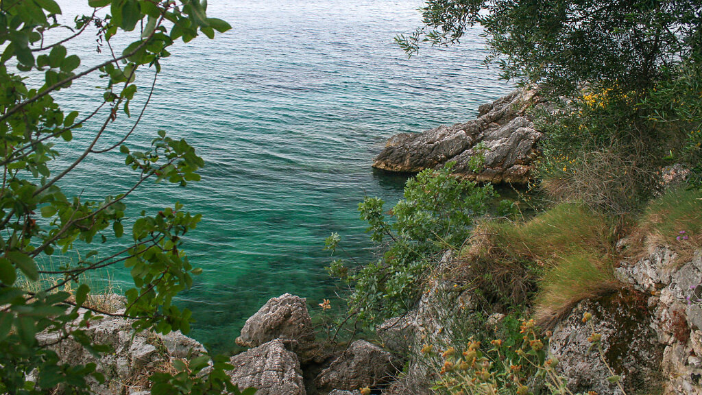 IMG-6939.jpg