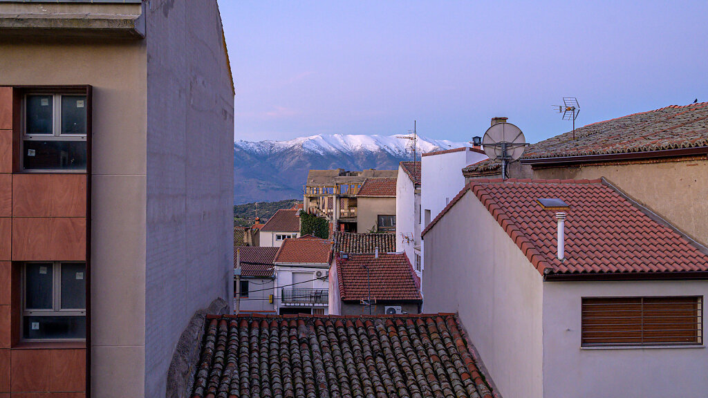 20250330-065218-DSC-5200.jpg